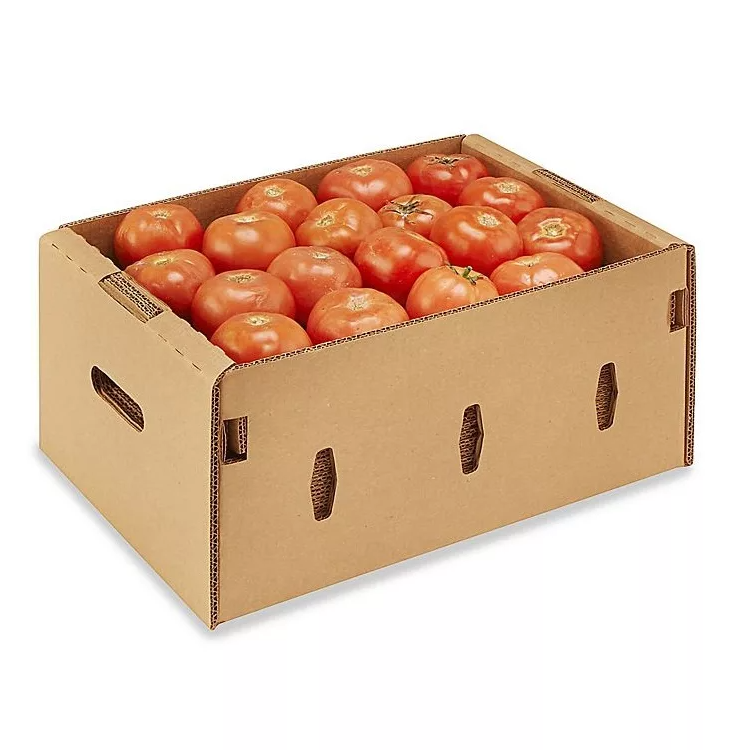 Материал упаковки для хранения овощей: Картон или пластик, что выбрать?